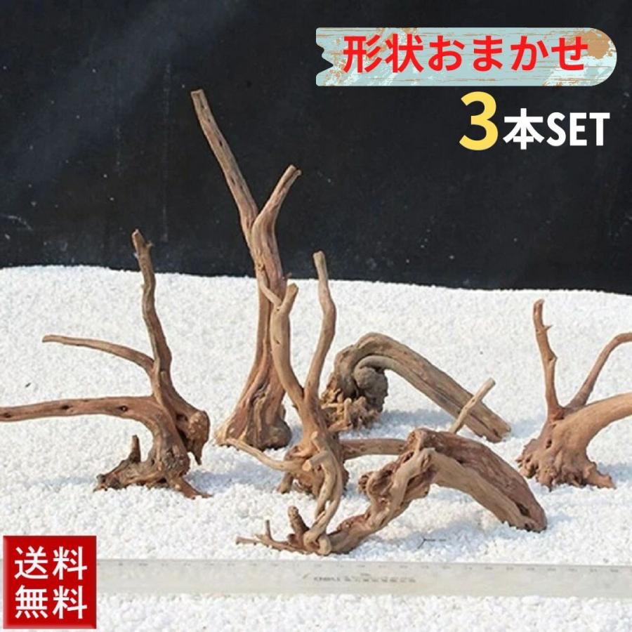 福袋 アクアリウム 流木 ーVer1ー 3本セット 形状お任せタイプ 10