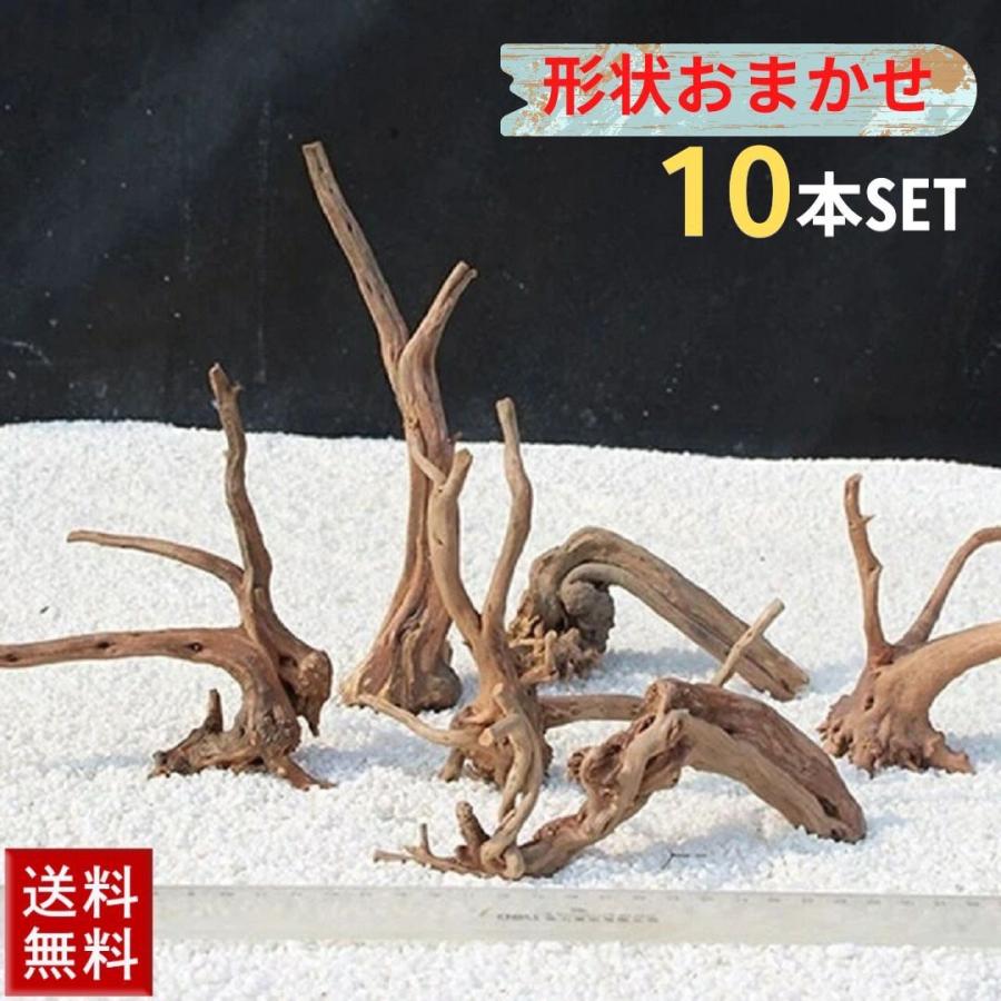 福袋 アクアリウム 流木 ーVer1ー 10本セット 形状お任せタイプ 10
