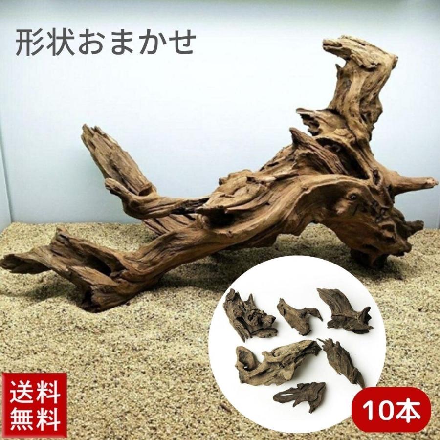 水槽用流木 10個セット 福袋 アクアリウム 流木 ーVer2ー 10本セット 形状お任せタイプ 21