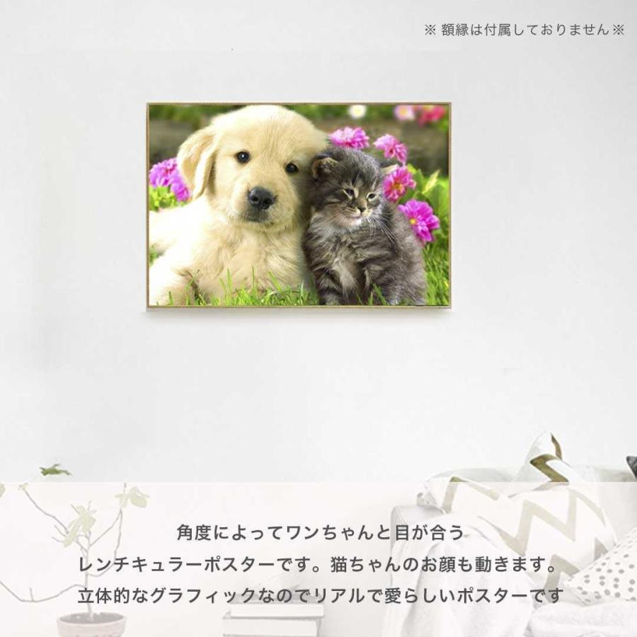 インテリア 3D 絵 寄り添う犬と猫 2匹 レンチキュラー アニマル 立体