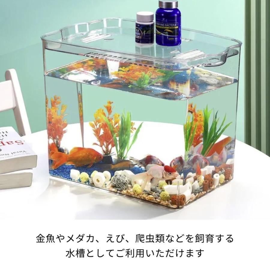 メダカ飼育ラック NVBOX用 水槽 熱帯魚 めだか アクアリウム