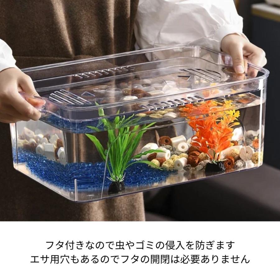 水槽 蓋付き メダ家 メダカタンク クリア インテリア 透明