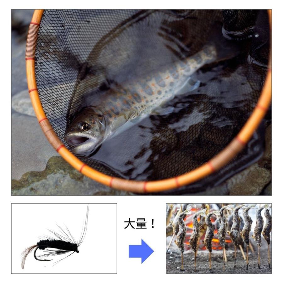 フライフィッシング渓流釣りトラウト毛針大量セット