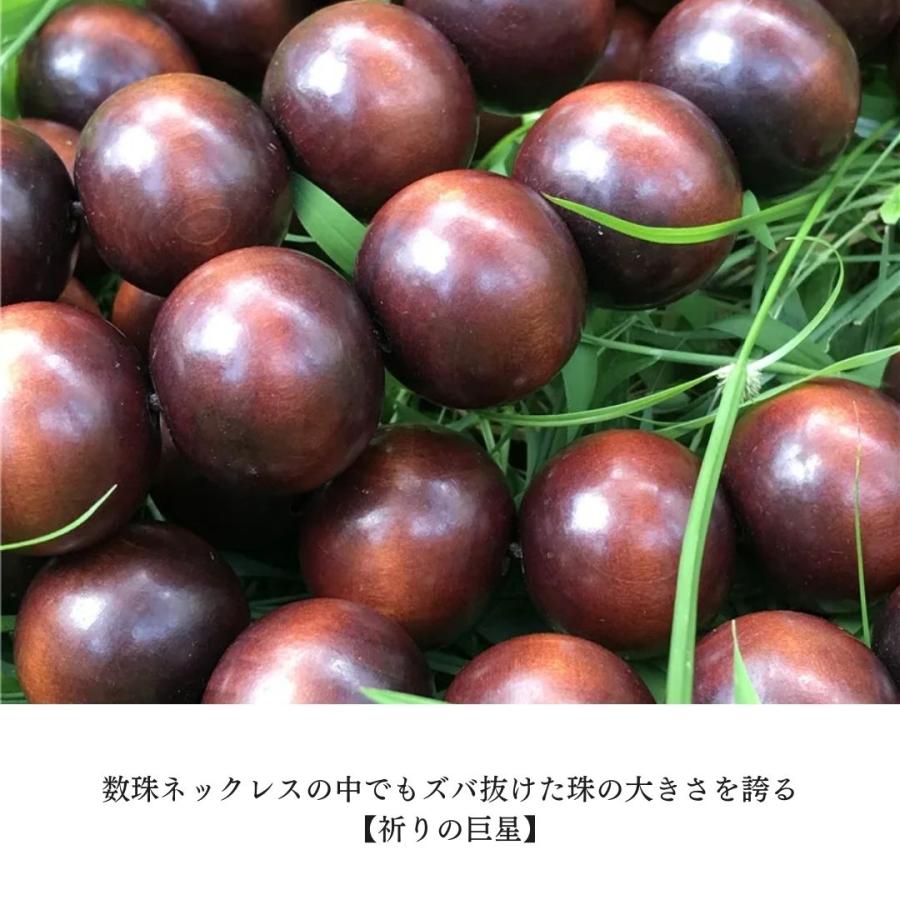 数珠 特大 ネックレス 祈りの巨星 瞑想 首飾り 祈りの首輪 ふさ付き アクセサリー お守り 厄除け 魔除け スタイル お洒落アイテム 開運厄除 祈願成就_1