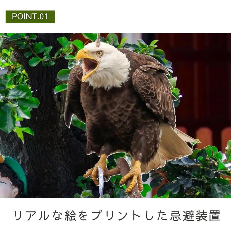 鳥よけ リアル鷲プリント 吊り下げ プレート 大きいサイズ
