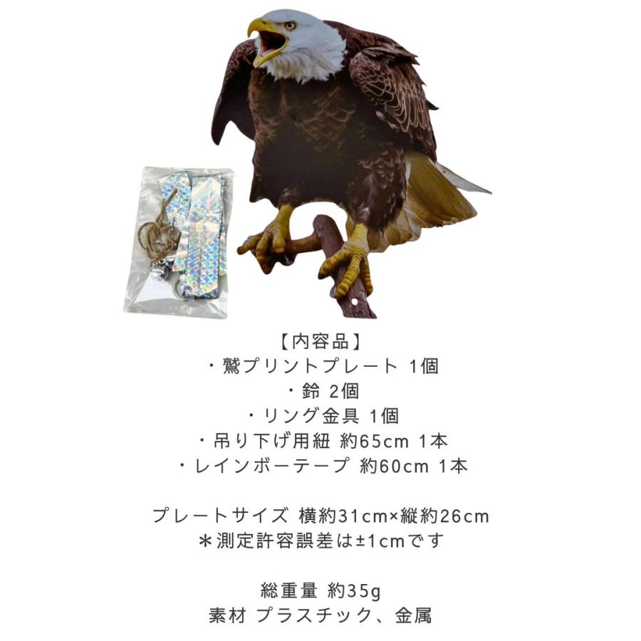 鳥よけ リアル鷲プリント 吊り下げ プレート 大きいサイズ 虫除け 猛禽