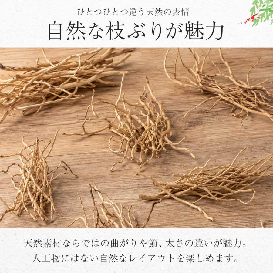 アクアリウム 流木 ーVer4ー 自然の流木の根 木の根 1束50gセット 極細
