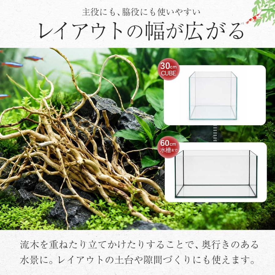 アクアリウム 流木 ーVer4ー 自然の流木の根 木の根 1束50gセット 極細