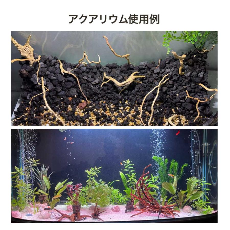 アクアリウム 流木 ーVer4ー 自然の流木の根 木の根 1束50gセット 極細