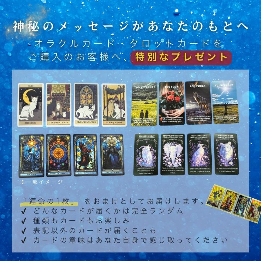特典 オラクルカード付き オラクルカード 蒼の神託 46枚 OCEAN OF