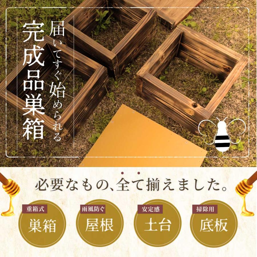手作り杉材！完成品6点セット 日本語説明書付き ニホンミツバチ 重箱式