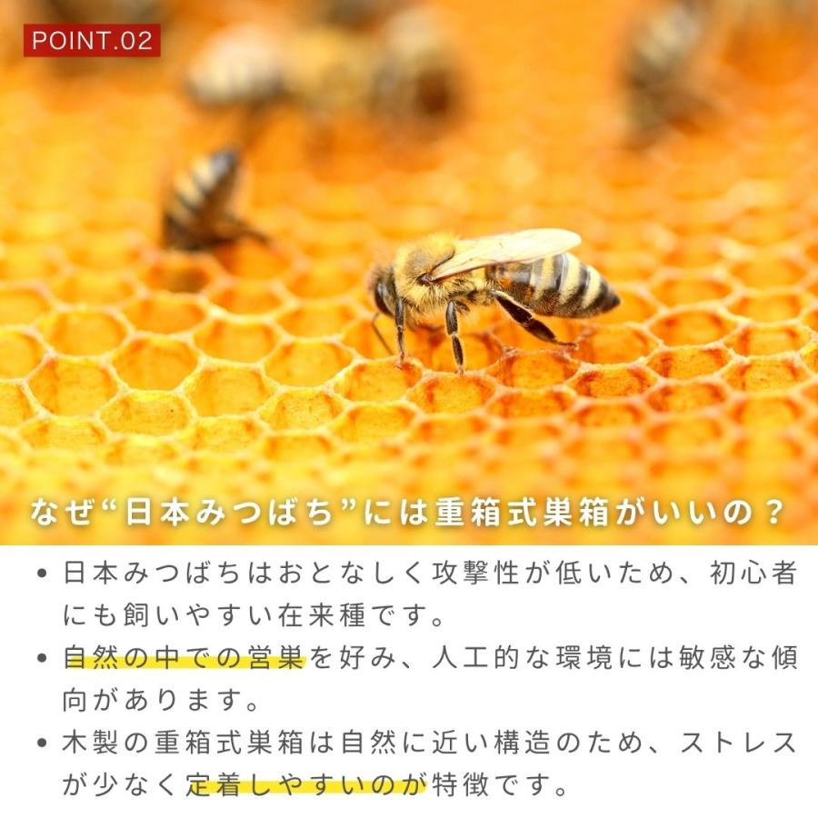 国産 ニホンミツバチ 重箱式巣箱 3段 完成品6点セット 焼き処理