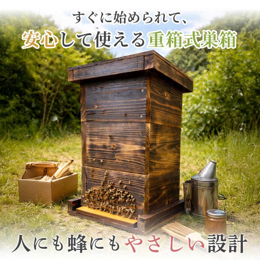 手作り杉材！完成品6点セット 日本語説明書付き ニホンミツバチ 重箱式