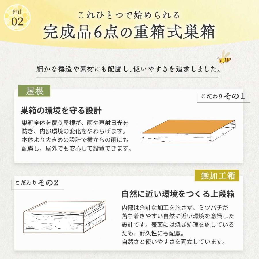 ニホンミツバチ　重箱式巣箱　段数選択式　板厚4.5cm　気候変動対応型 楽天市場】日本蜜蜂 巣箱 ニホンミツバチ 日本みつばち 重箱式巣箱 4段