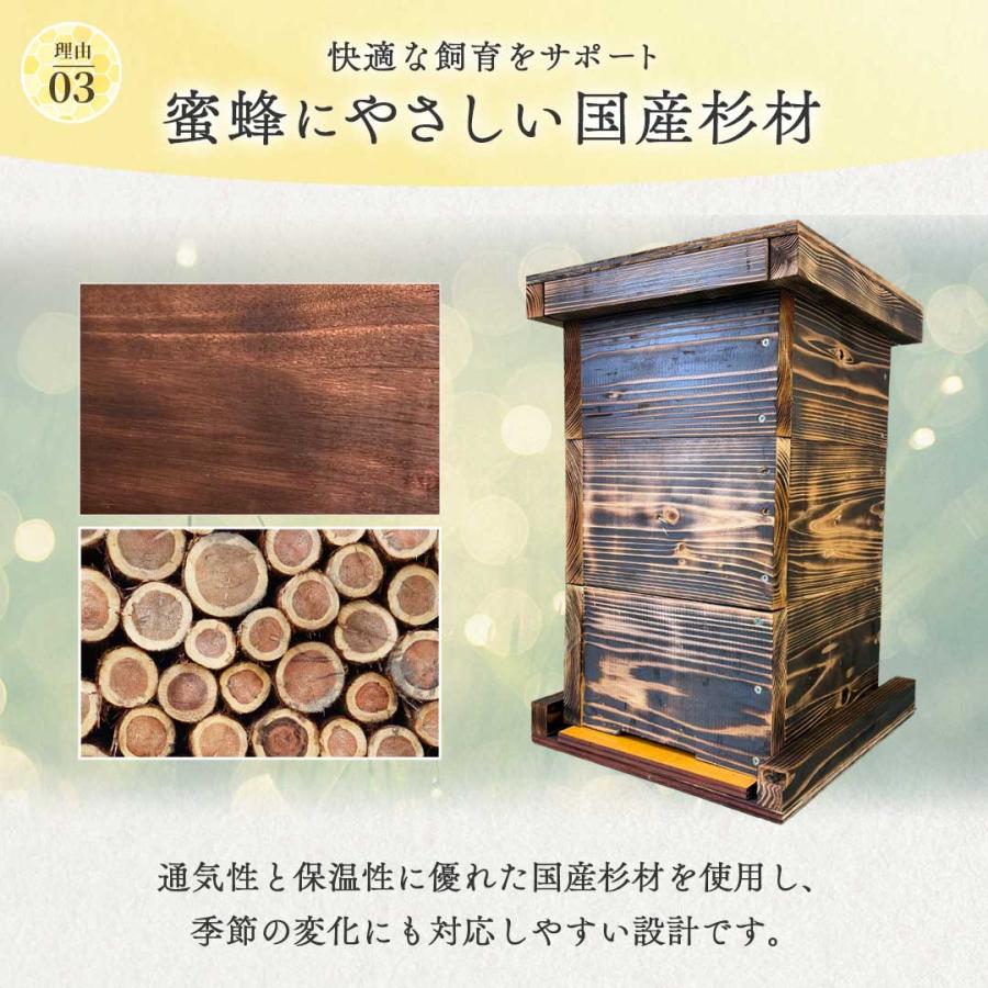 手作り杉材！完成品6点セット 日本語説明書付き ニホンミツバチ 重箱式