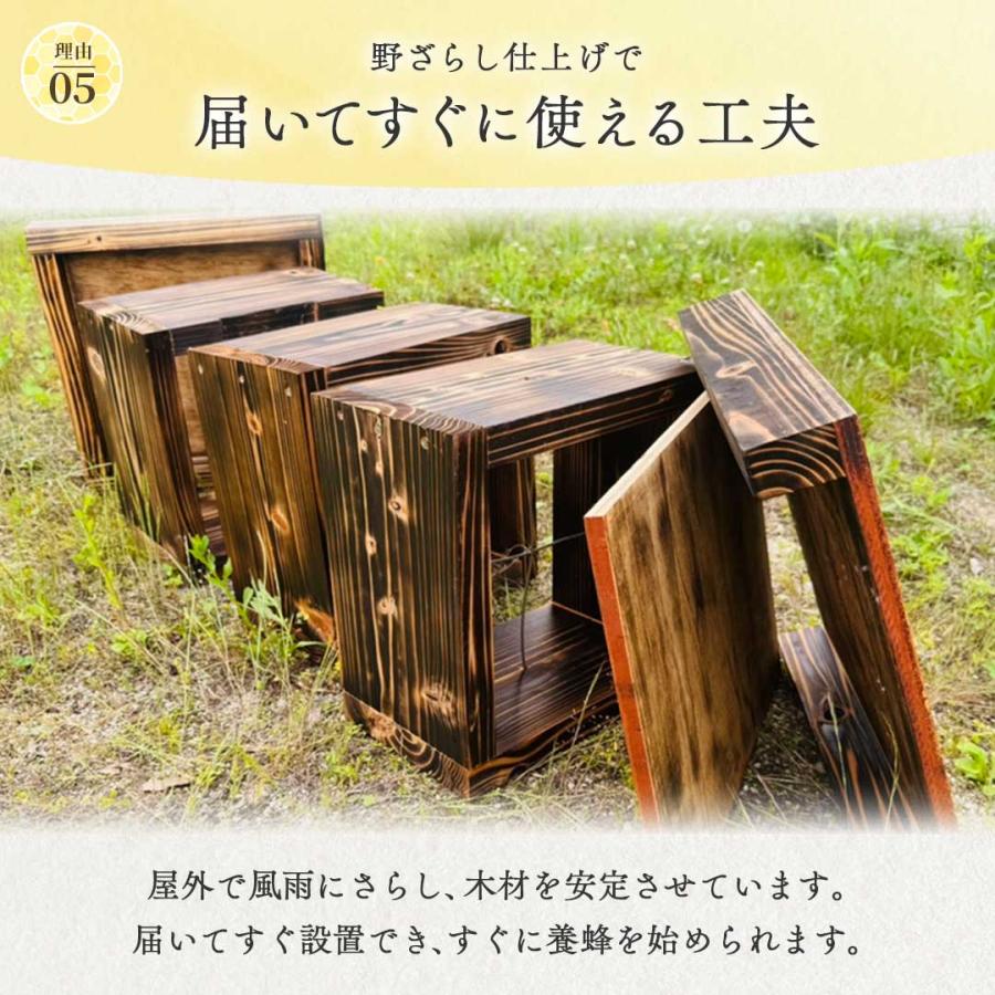 手作り杉材！完成品6点セット 日本語説明書付き ニホンミツバチ 重箱式
