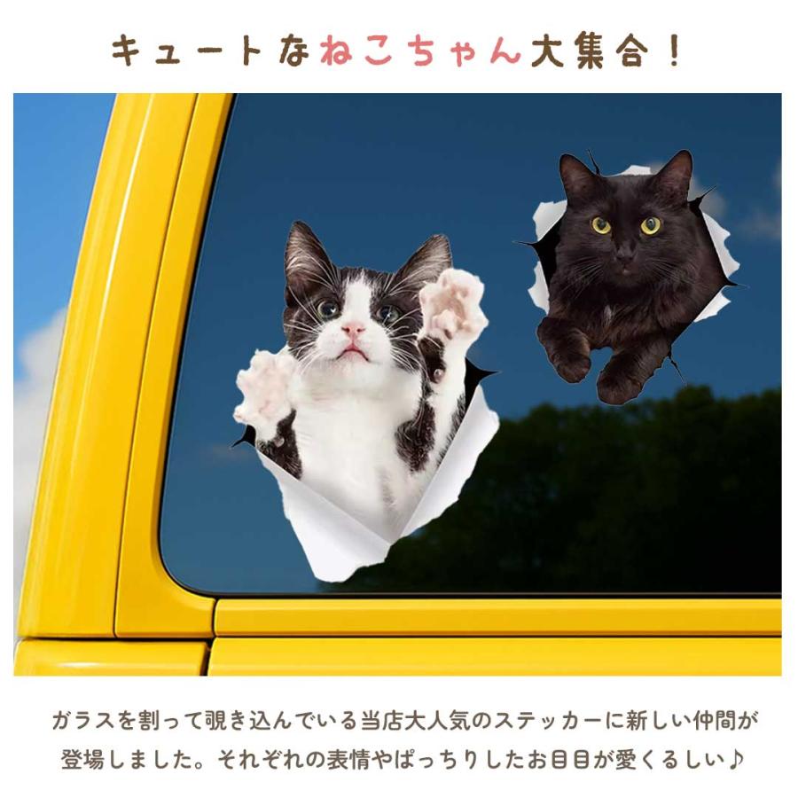 車用 ステッカー 飛び出すネコチャン カー用品 3D かんたん 貼り付け