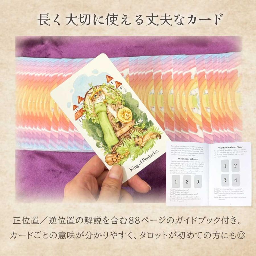 正規品］ 豪華特典 ポーチ付き Caticorn Tarot キャティコーンタロット