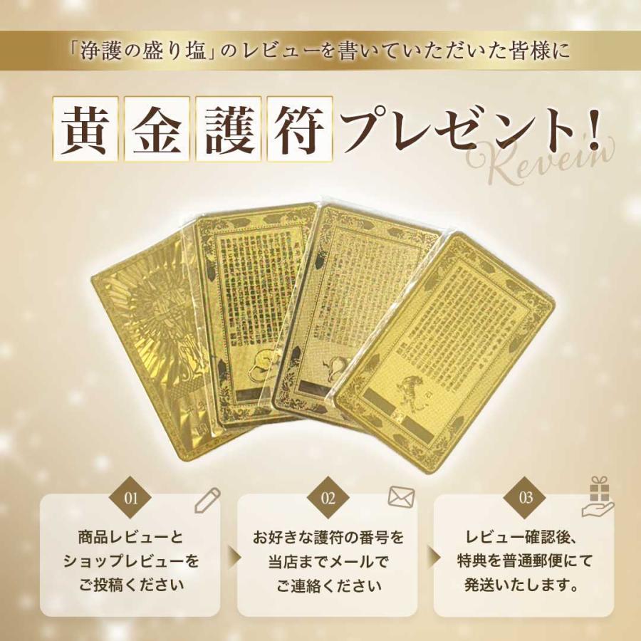 レビュー特典 干支ゴールド護符プレゼント 盛り塩 浄護結界ダイヤ