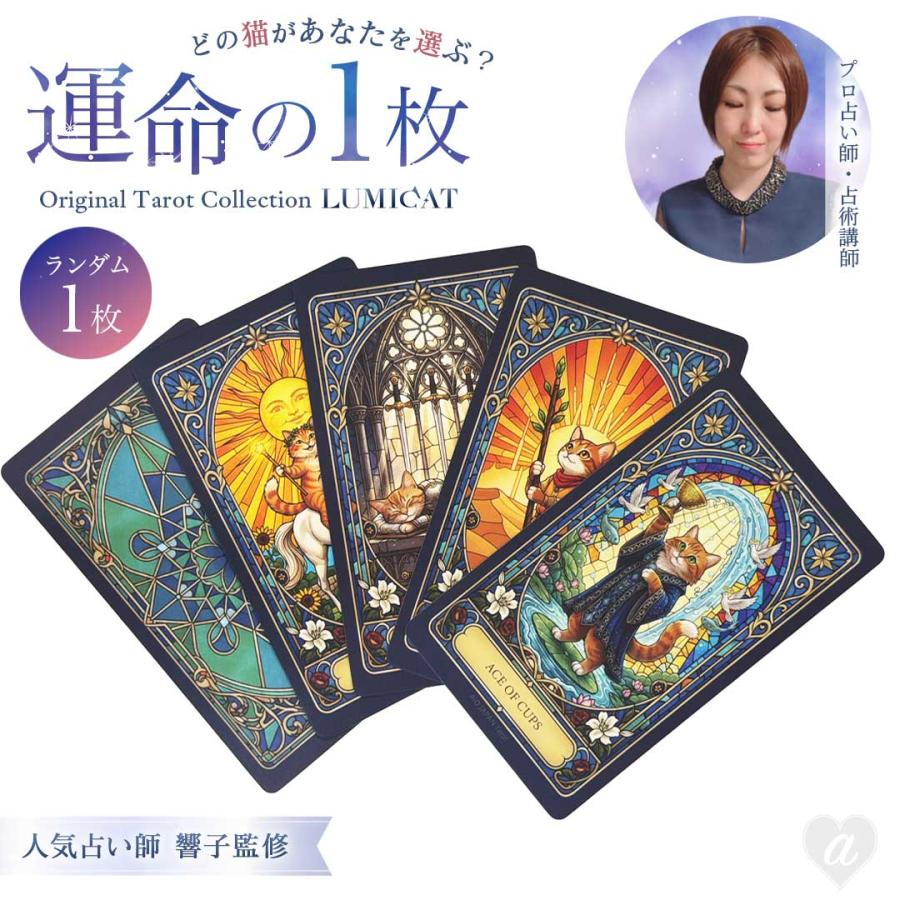 【激レア！PC-8801用ゲーム】タロット占い　富士音響マイコンセンターRAM 運命の1枚 タロットカード LUMICAT ルミキャット 【占術講師 響子先生