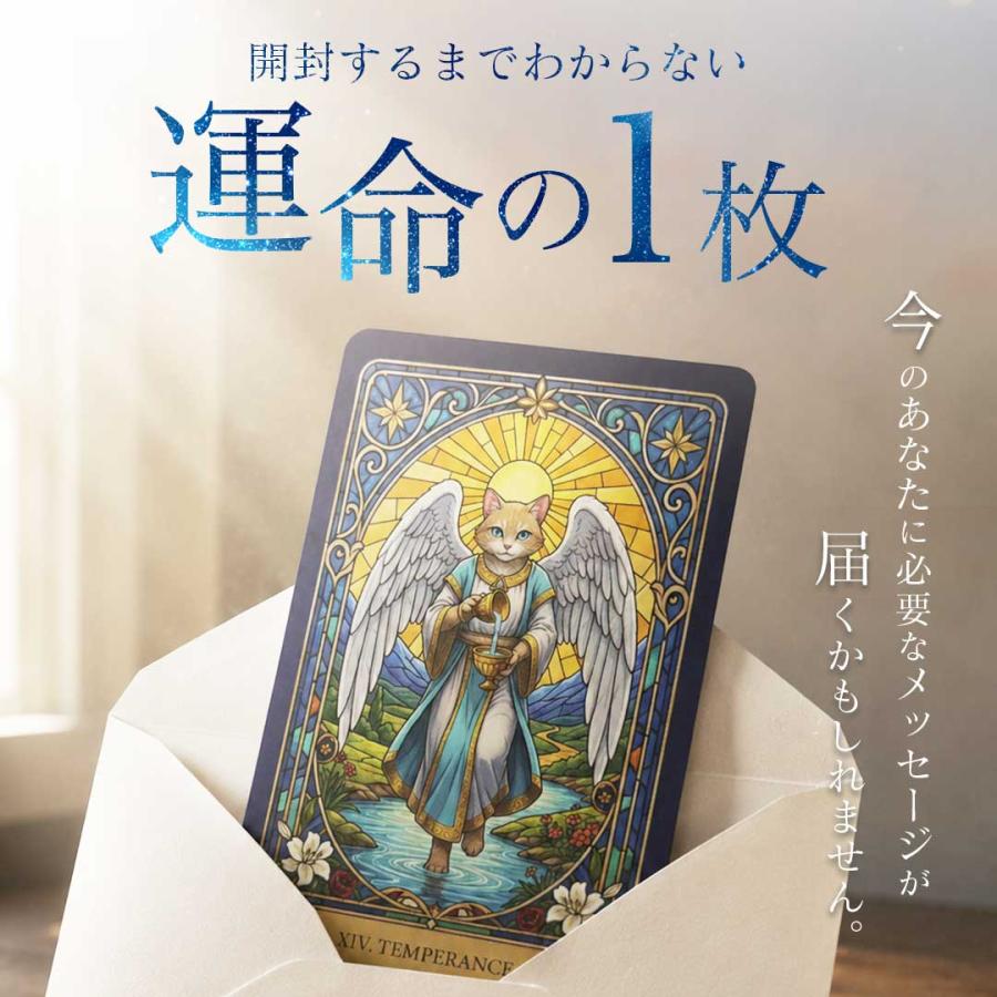 運命の1枚 タロットカード LUMICAT ルミキャット 【占術講師 響子先生