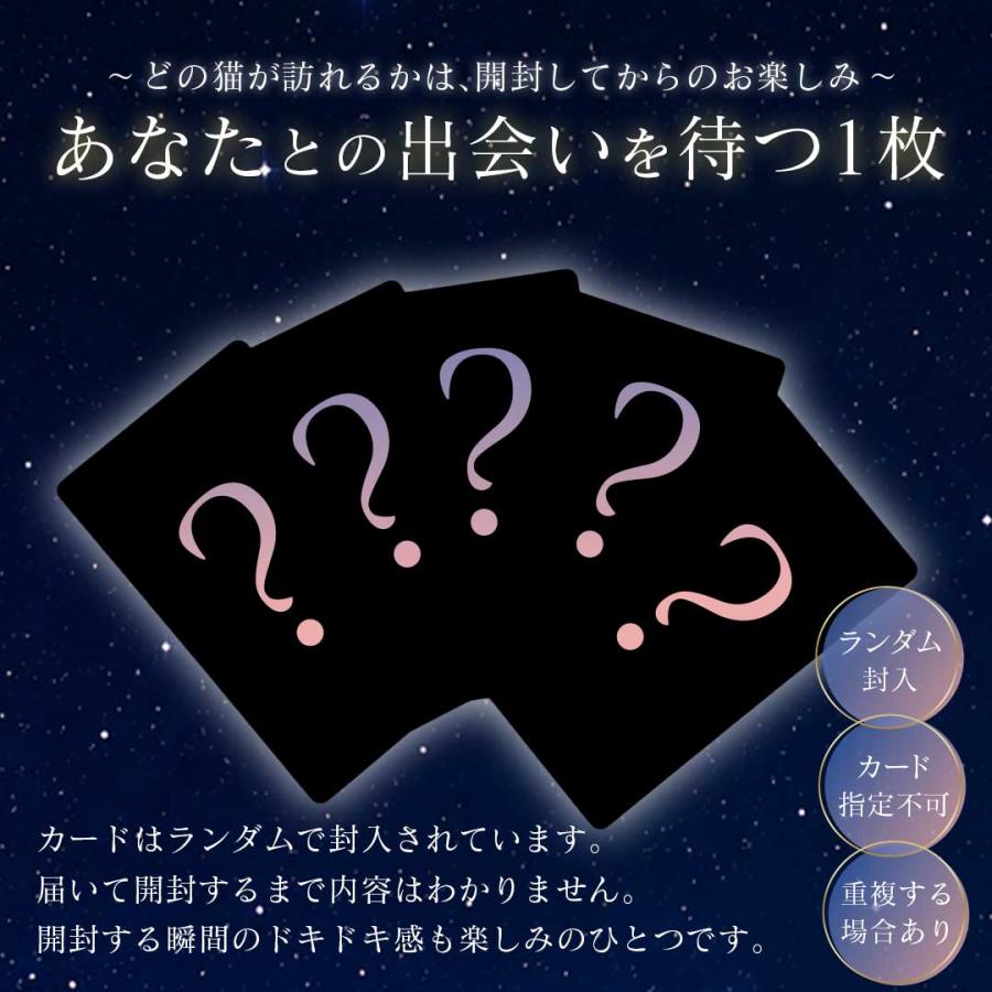 運命の1枚 タロットカード LUMICAT ルミキャット 【占術講師 響子先生