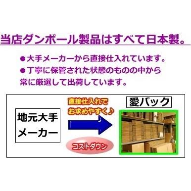 ダンボール箱 段ボール 100サイズ 30枚セット 宅配 日本製 無地 薄型 B段 100s01 30 愛パック ダンボール 段ボール 箱 通販 Yahoo ショッピング