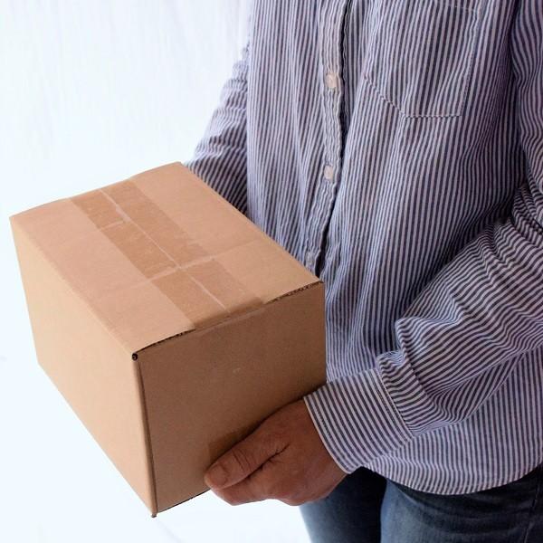 気質アップ ダンボール箱 50サイズ 150枚セット 段ボール 日本製 無地 薄型 小物用 クロネコヤマト 宅急便 ゆうパック メルカリ 梱包 Dprd Jatimprov Go Id