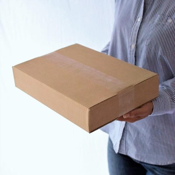 愛パックダンボール ダンボール箱 60 サイズ 段ボール 薄型 軽量 軽い