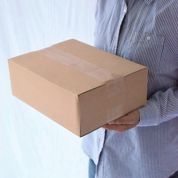 ダンボール箱 60サイズ 100枚 無地 段ボール 梱包用 日本製 薄型 