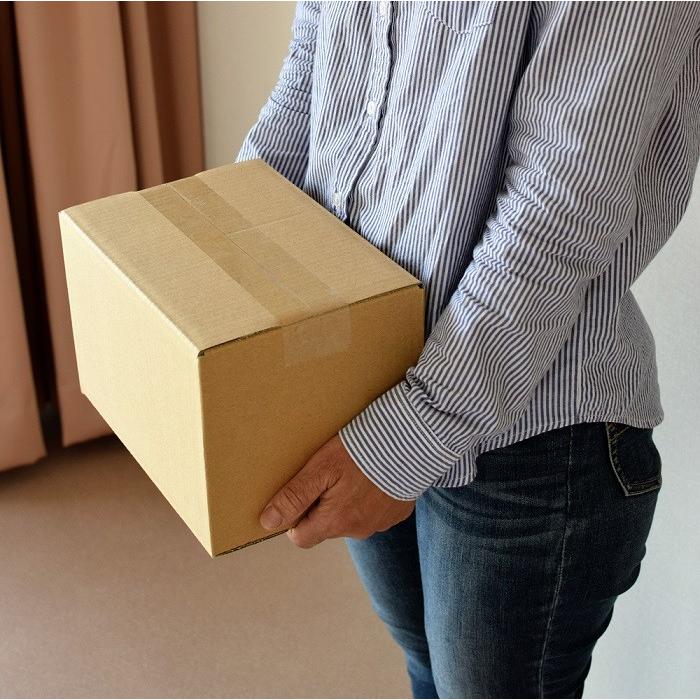 ダンボール箱 60サイズ 60枚 無地 段ボール 梱包用 日本製 薄型 ネットショップ 商品発送用 クロネコヤマト 宅急便 ゆうパック