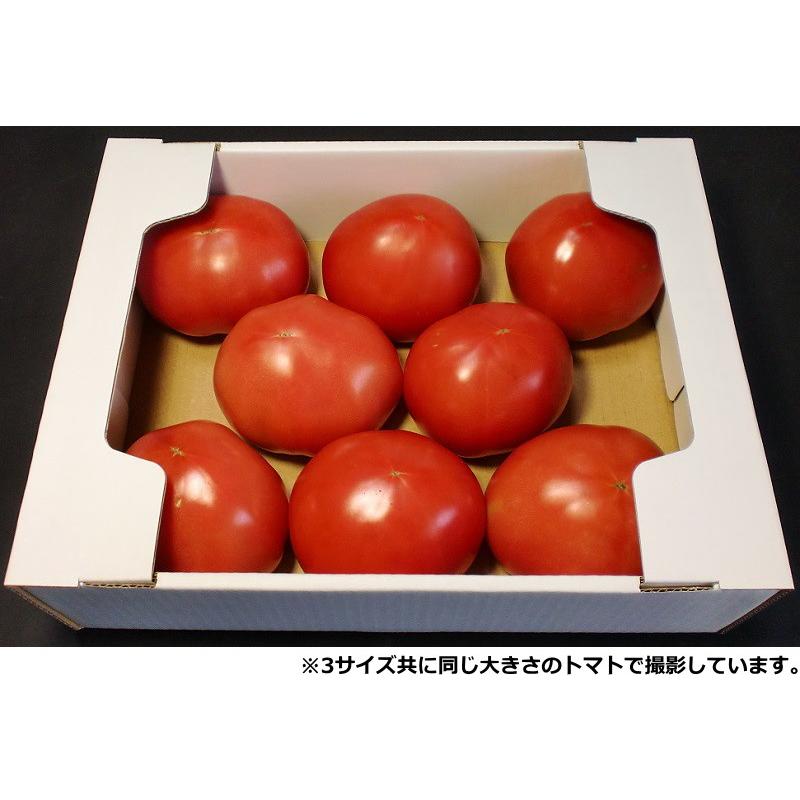 ダンボール箱 白 トマト1.5K〜2k用 100枚セット 段ボール箱 出荷用 野菜 青果物用｜aipabox｜02