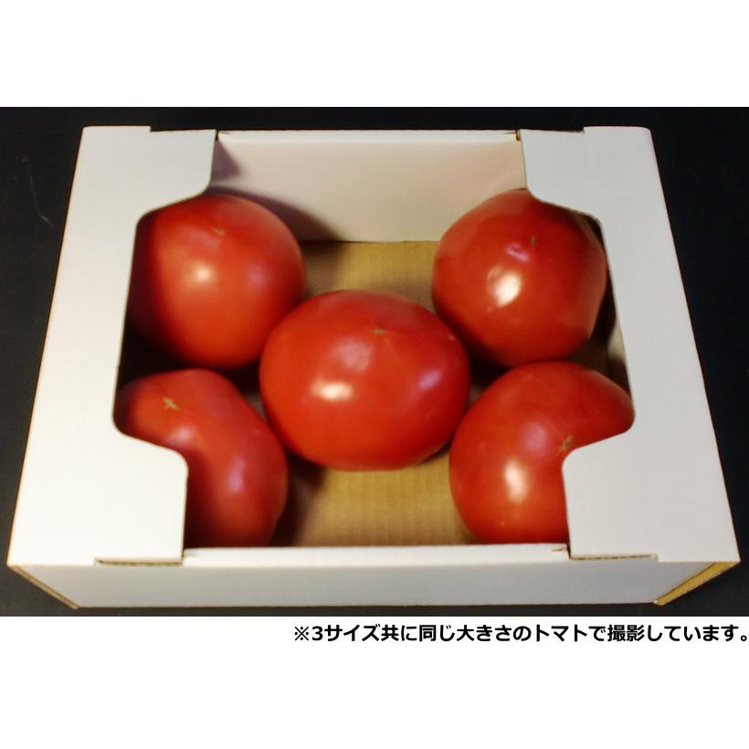 ダンボール箱 白 トマト1K用 100枚セット 段ボール箱 出荷用 野菜 青果物用｜aipabox｜02