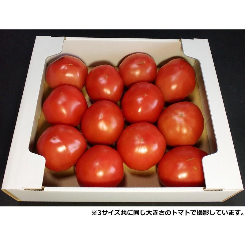 ダンボール箱　白　トマト2k〜3k用　500枚セット　段ボール箱　出荷用　野菜　トマト専用　青果物用