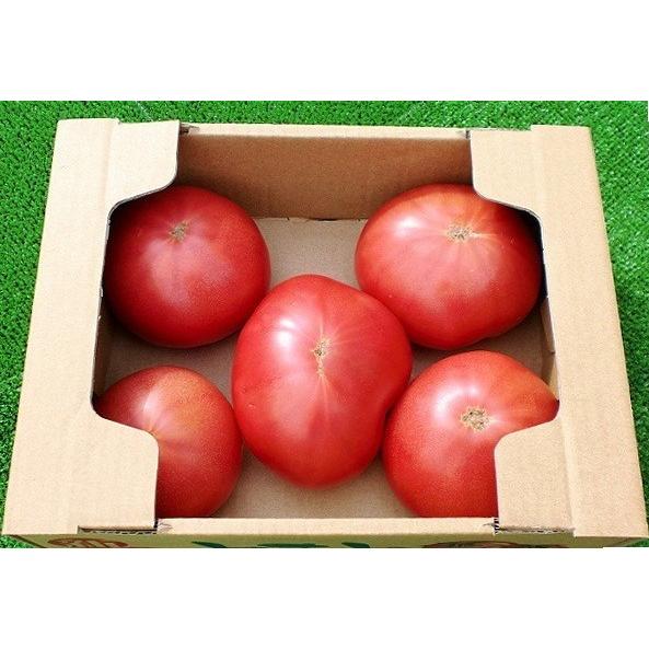 ダンボール箱 トマト1K用 100枚セット 段ボール箱 出荷用 野菜 青果物用｜aipabox｜02