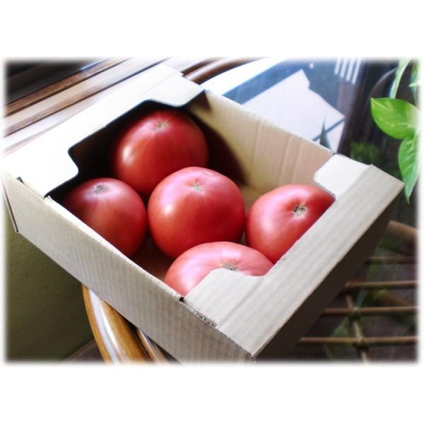 ダンボール箱 トマト1K用 100枚セット 段ボール箱 出荷用 野菜 青果物用｜aipabox｜03