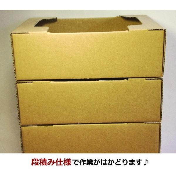 愛パックダンボール ダンボール箱 トマト1K用 100枚セット 段ボール箱