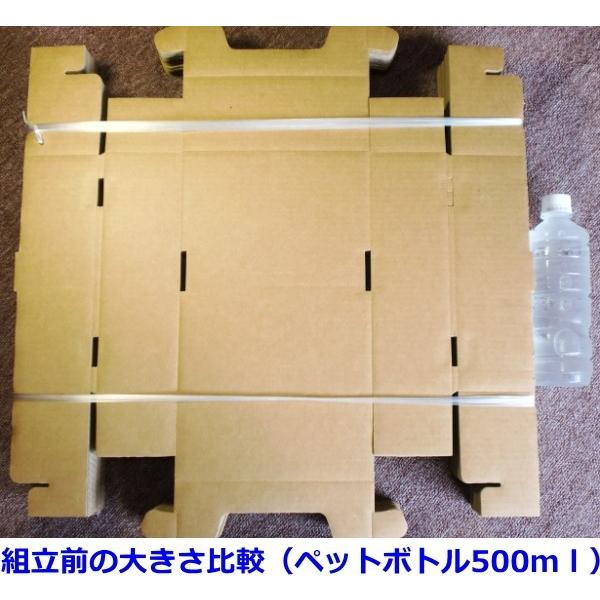 トマト出荷用段ボールと蓋 トマト出荷用印刷付ダンボール箱 ｜ オーダー段ボール箱製造販売の
