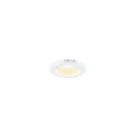 東芝ライテック (手配品) LEDダウンライト(ランプ別売) LEDD85031Y