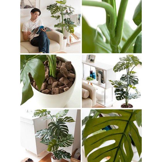 観葉植物 フェイクグリーン 光触媒 モンステラ 人工植物 消臭 防菌 高さ1cm V Cat光触媒 お手入れ不要 光触媒人工植物 エア リゾームインテリア 通販 Paypayモール