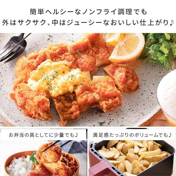 recolte ノンフライヤー 家庭用 レコルト 電気 フライヤー エア