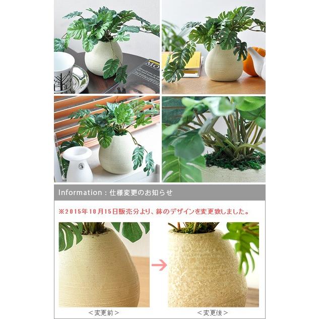 観葉植物 フェイクグリーン 光触媒 人気 造花 おしゃれ フィットニア かわいい お手入れ不要 人工観葉植物 卓上 インテリア 観葉植物 フェイクグリーン 光触媒 人気 造花 おしゃれ フィットニア かわいい お手入れ不要 人工観葉植物 卓上 インテリア