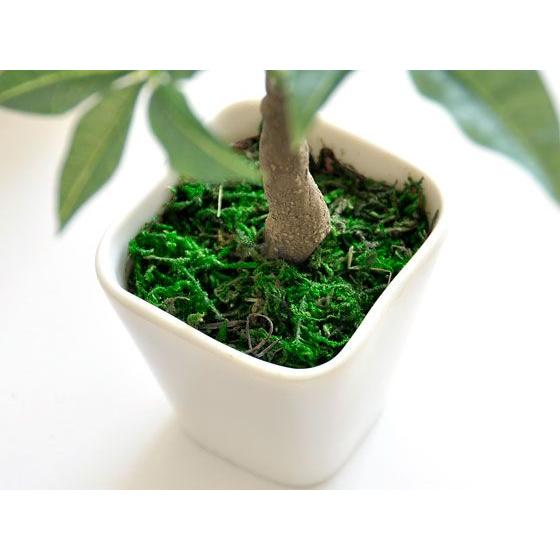 観葉植物 フェイクグリーン 光触媒 パキラ ミニ 卓上 人工観葉