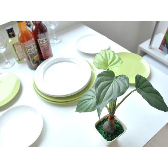 光触媒　人工観葉植物　ウォールグリーン　フェイクグリーン　アロカシア斑入りポット 楽天市場】アロカシア クワズイモ フェイクグリーン 人気