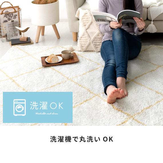 エア・リゾーム ラグ ラグマット カーペット おしゃれ 洗える 3畳 厚手
