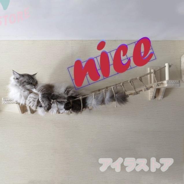 ペット 用 猫 はしご 壁付け 吊り橋 キャットウォーク キャット ペット 用 猫 はしご 壁付け 吊り橋 キャットウォーク キャット