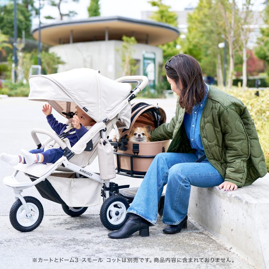 AIRBUGGY（エアバギー） 【公式】新登場 ドーム3 スモール オンボード