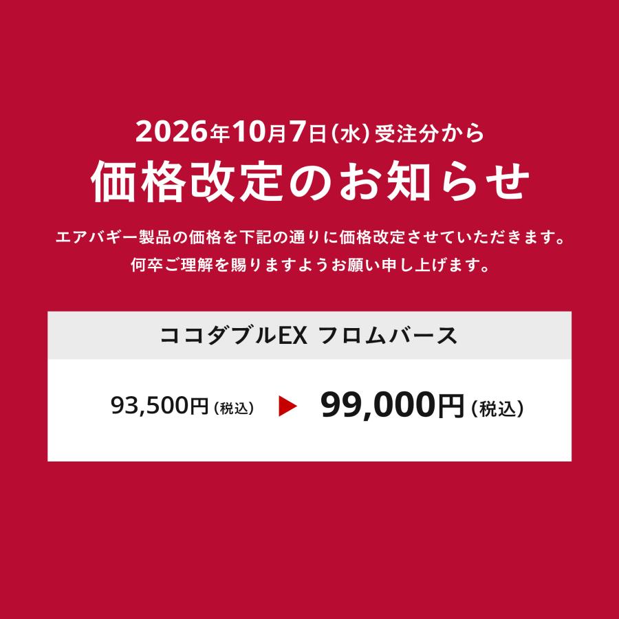 AIRBUGGY（エアバギー） ＼新色登場／【公式】エアバギー ココ ダブル