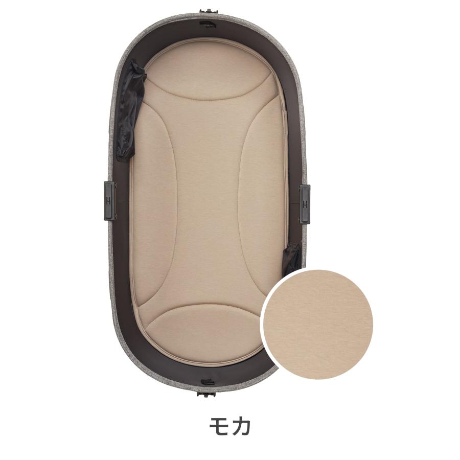 AIRBUGGY エアバギー ドームマット 2枚セット ドーム3 ラージ