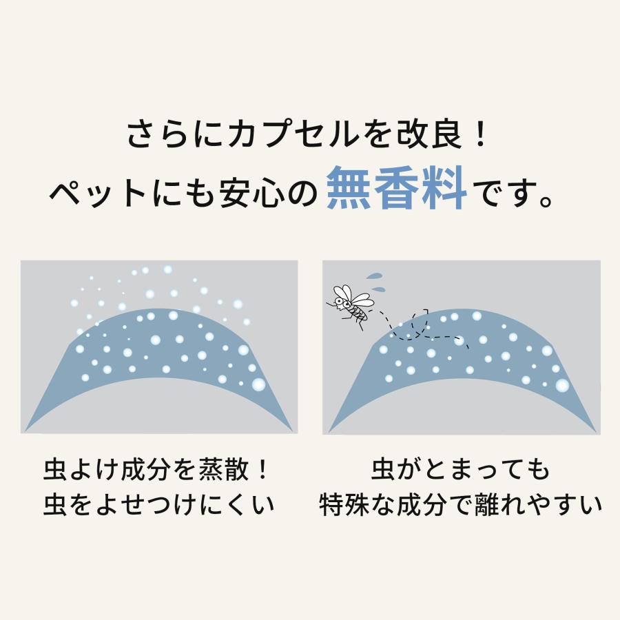 AIRBUGGY（エアバギー） 【公式】エアバギー ドーム3 レギュラー